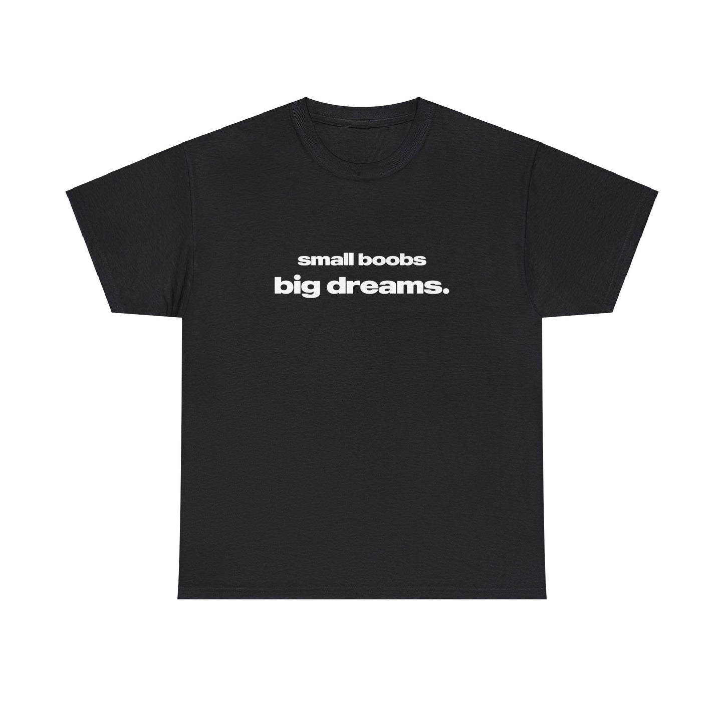 'Small Boobs Big Dreams' Classic Unisex Tee