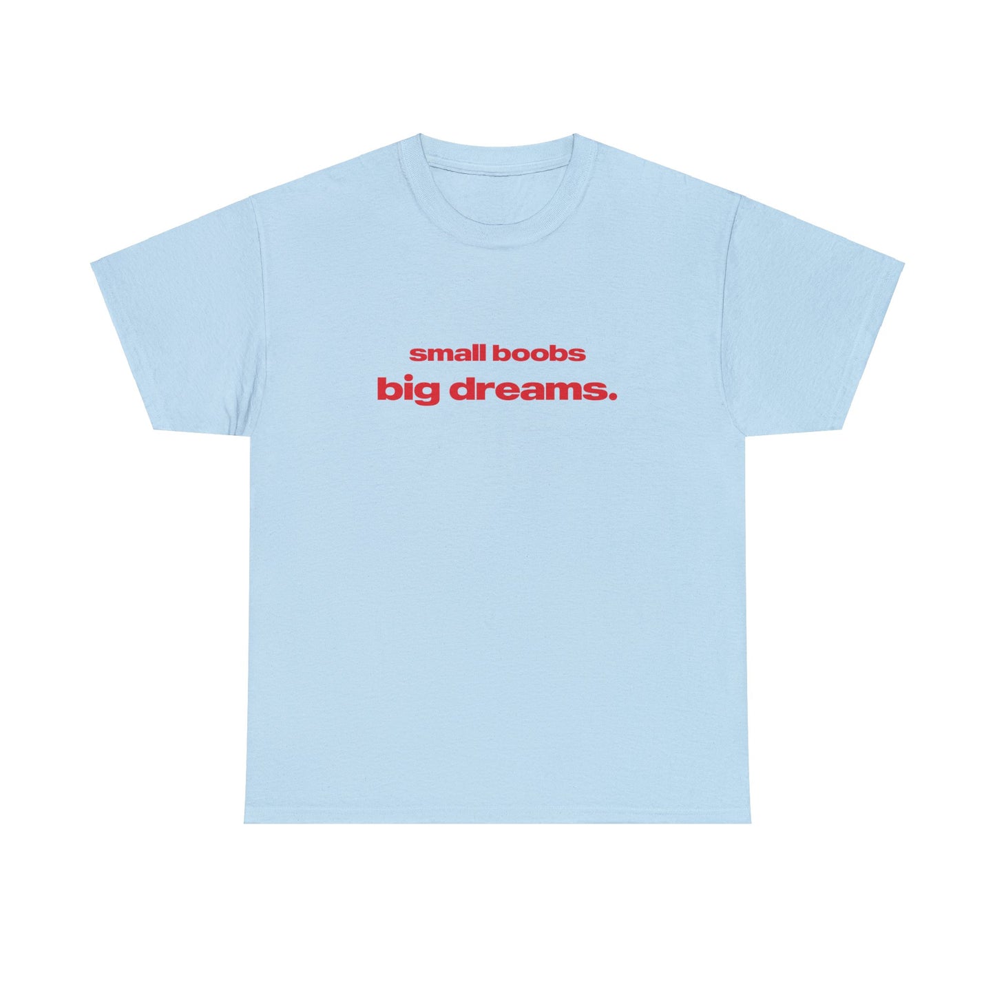 'Small Boobs Big Dreams' Classic Unisex Tee