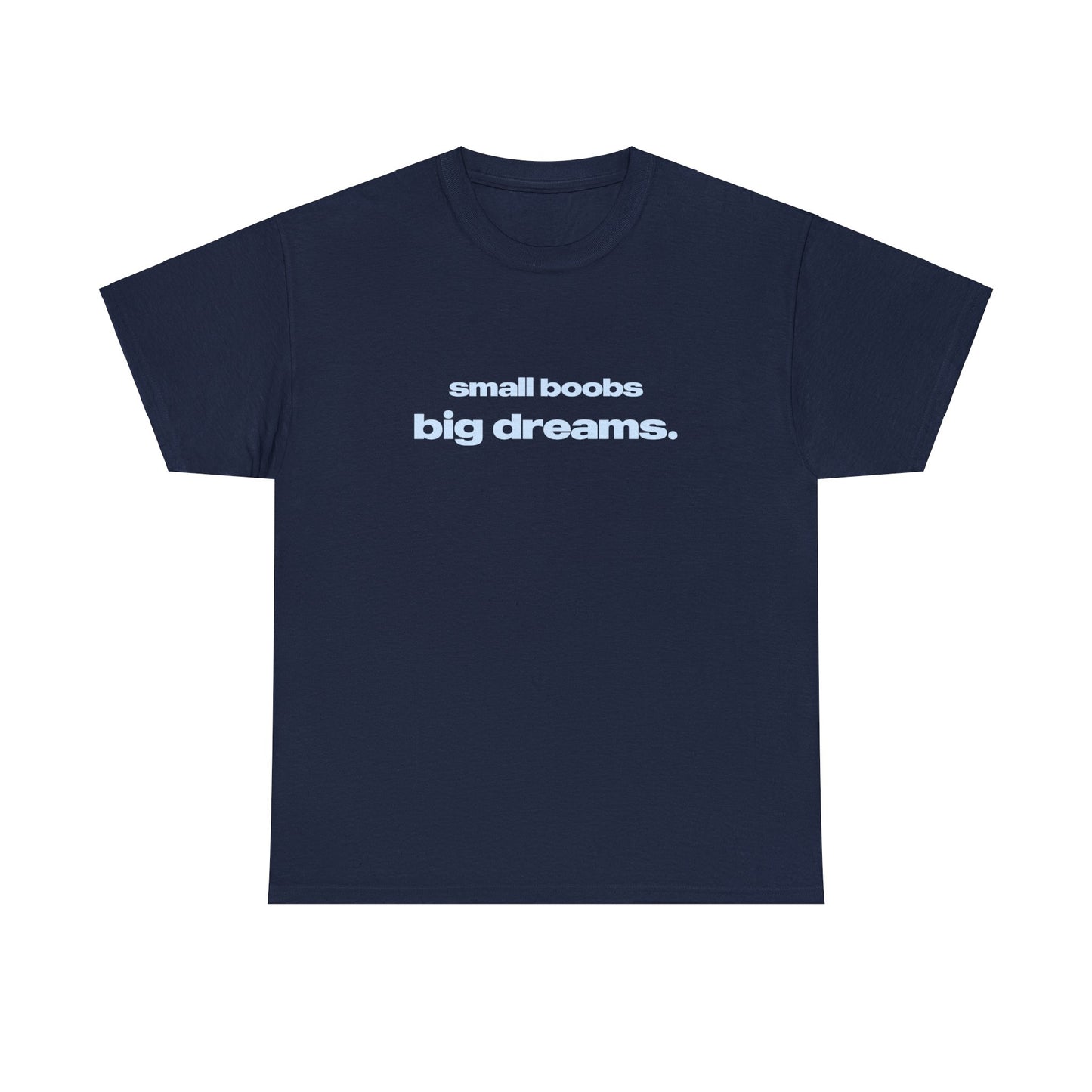 'Small Boobs Big Dreams' Classic Unisex Tee