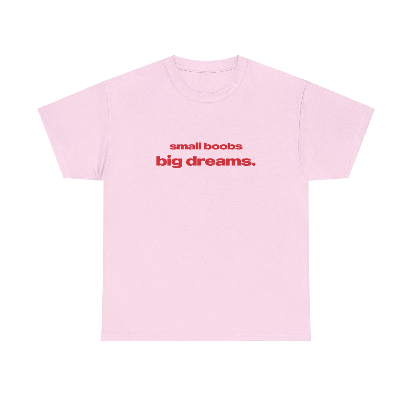 'Small Boobs Big Dreams' Classic Unisex Tee