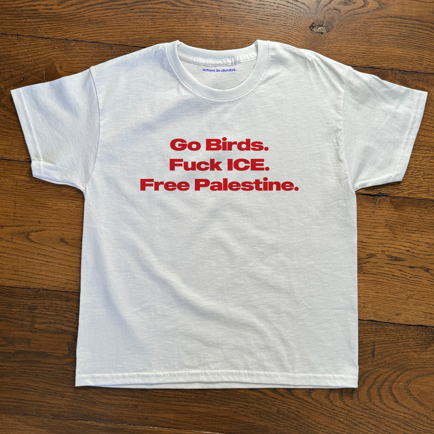 'Go Birds, Fuck ICE, Free Palestine' Baby Tee.