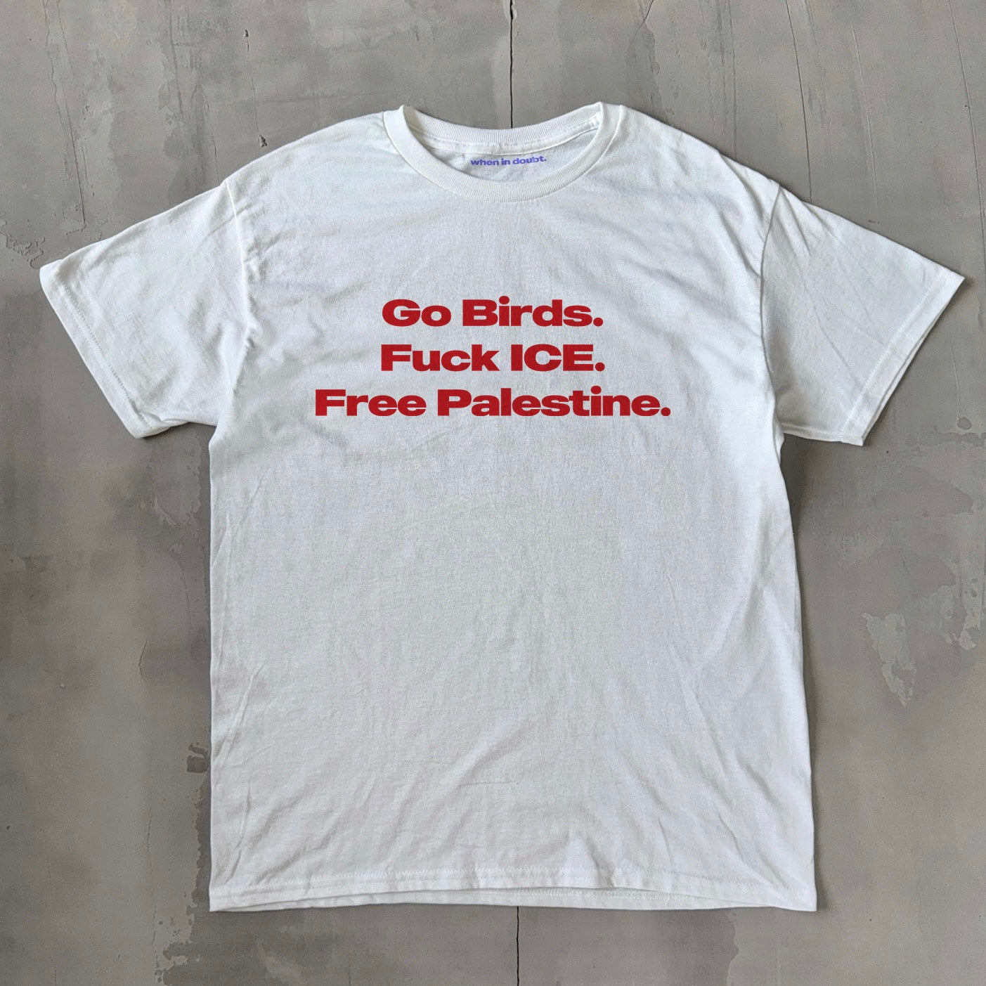 'Go Birds, Fuck ICE, Free Palestine' Classic Unisex Tee.