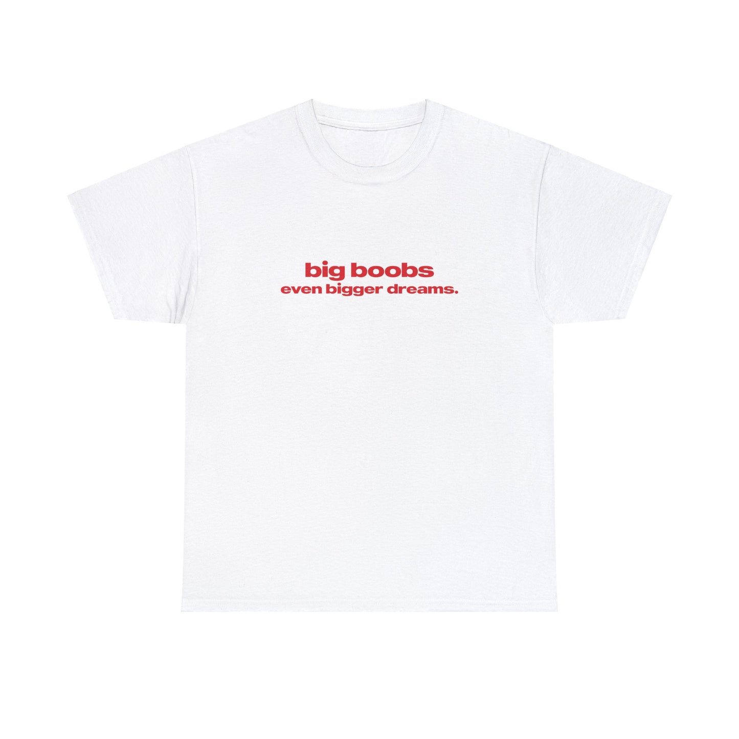 'Big Boobs Even Bigger Dreams' Classic Unisex Tee