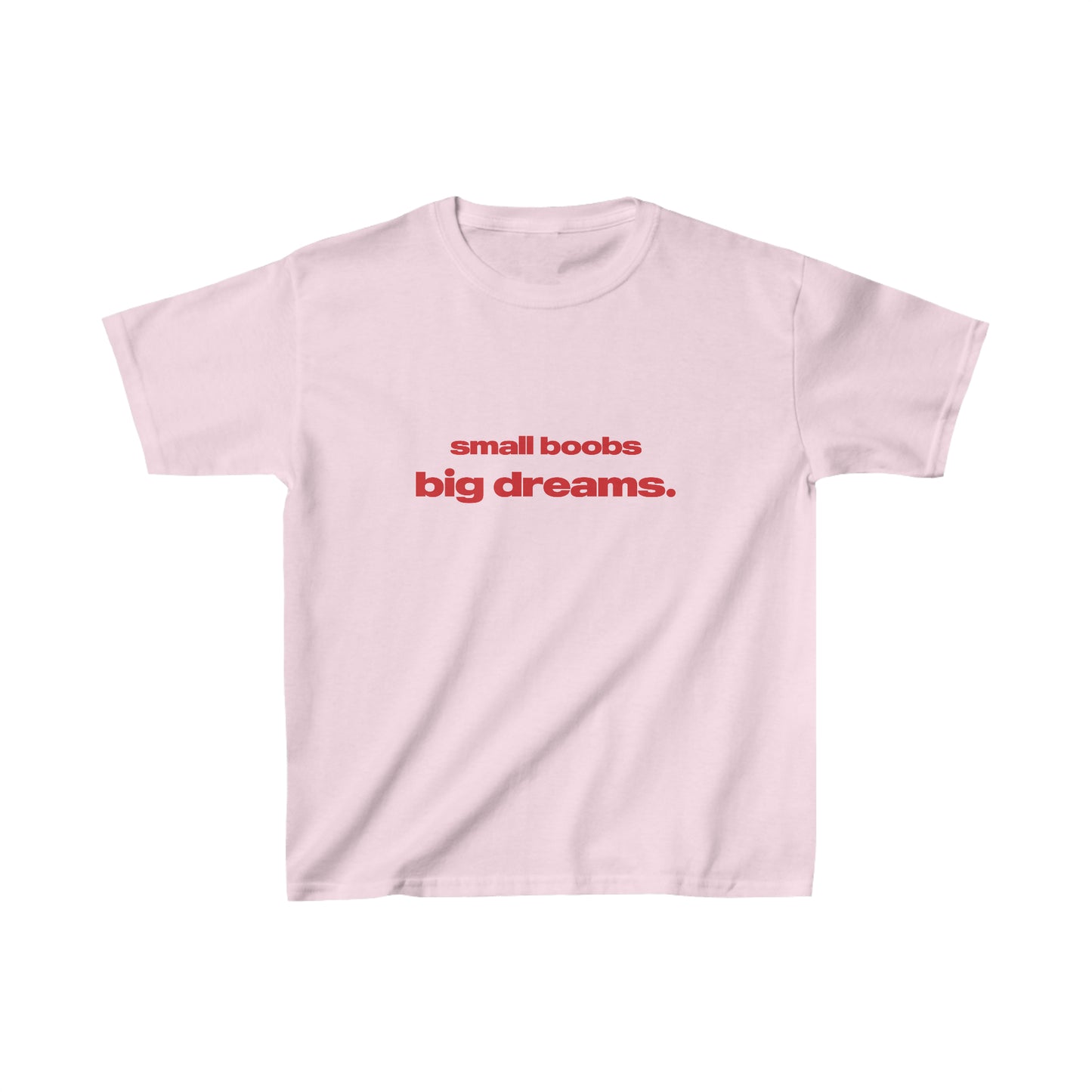 'Small Boobs Big Dreams' Baby Tee